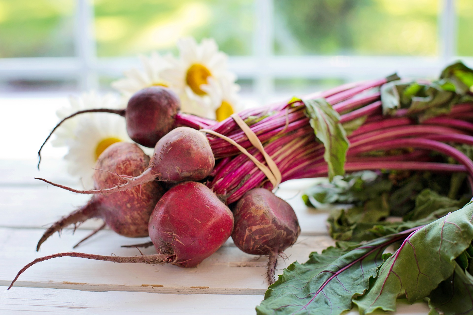BEET AND FENNEL SALAD | Skyterra at Home