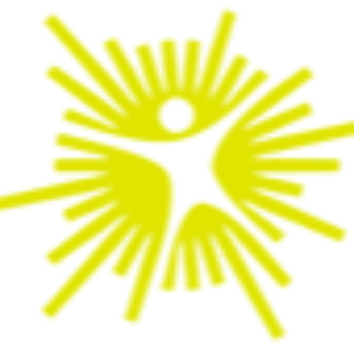 Skyterra at Home logo