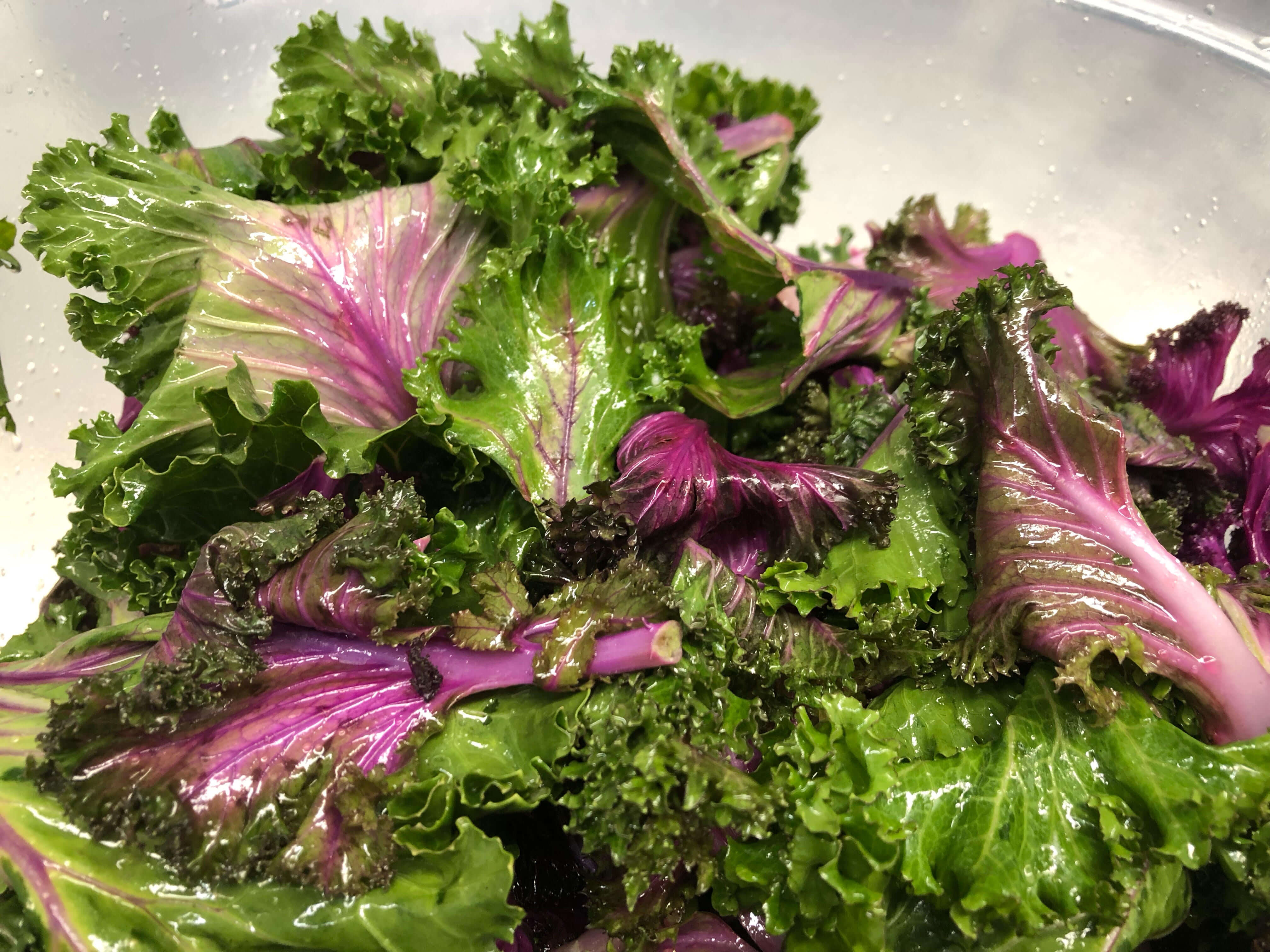 MASSAGED PURPLE KALE Skyterra at Home