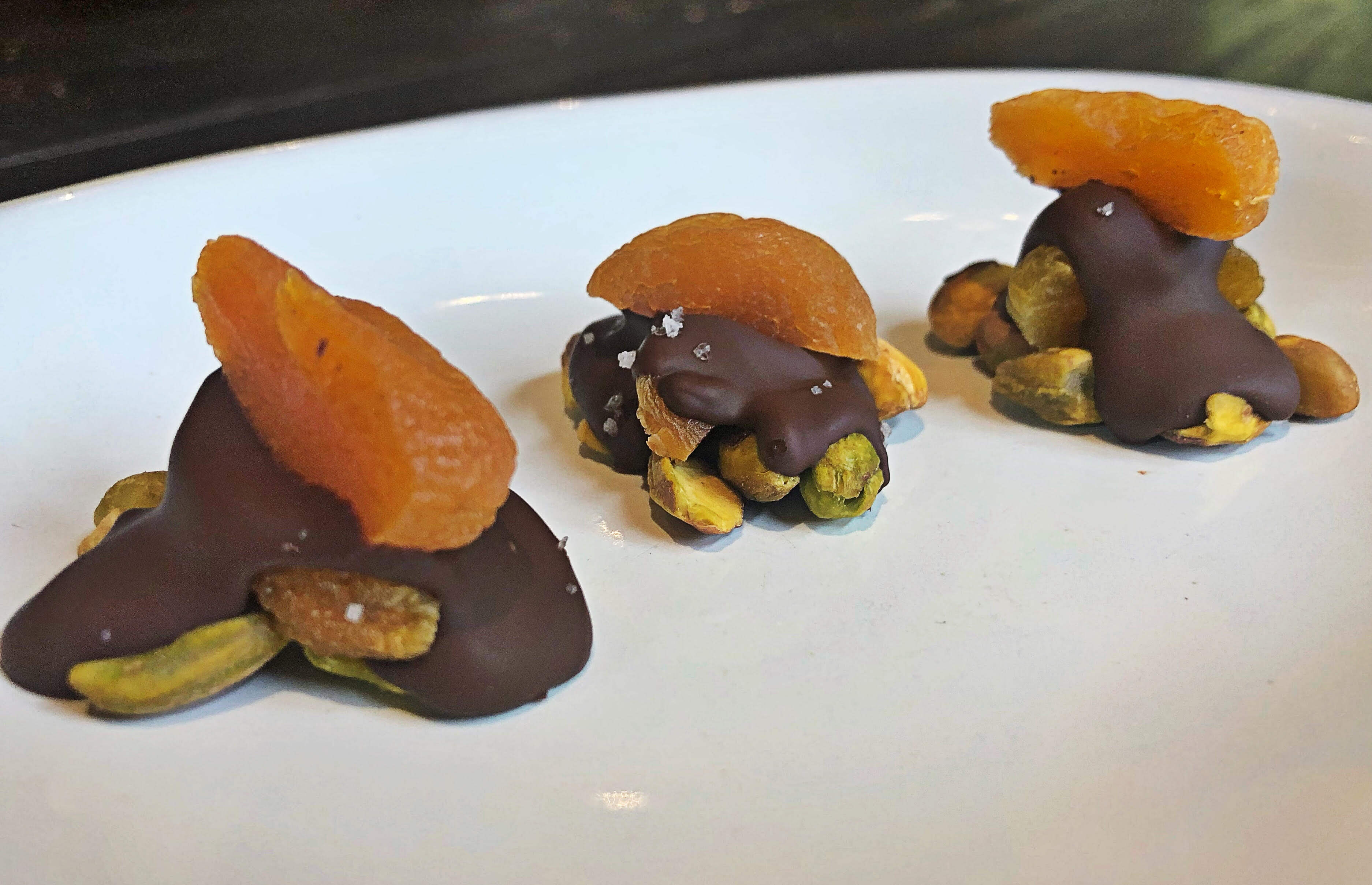 NUT & DRIED FRUIT TURTLES Skyterra at Home