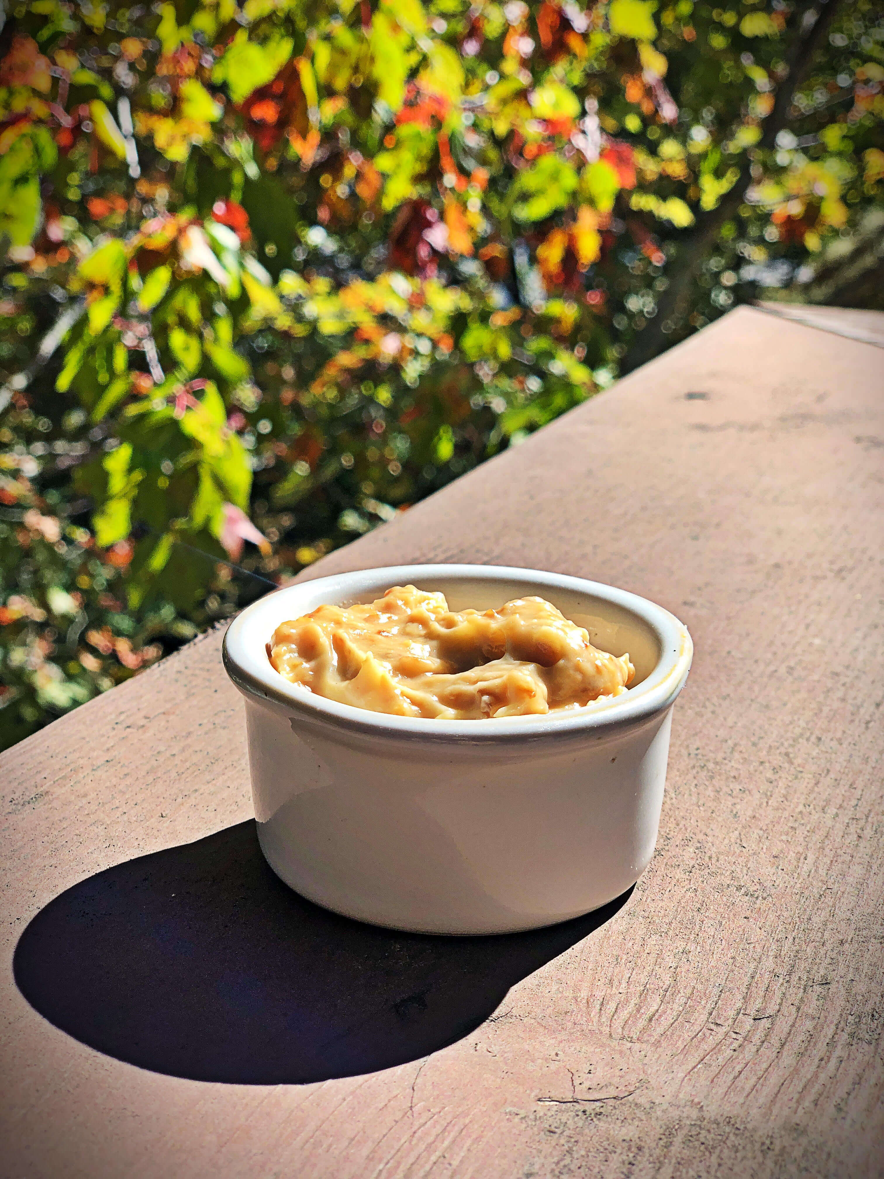 OIL ROASTED GARLIC PUREE Skyterra at Home