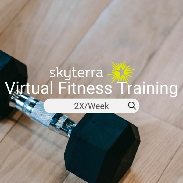 Virtual Fitness Training