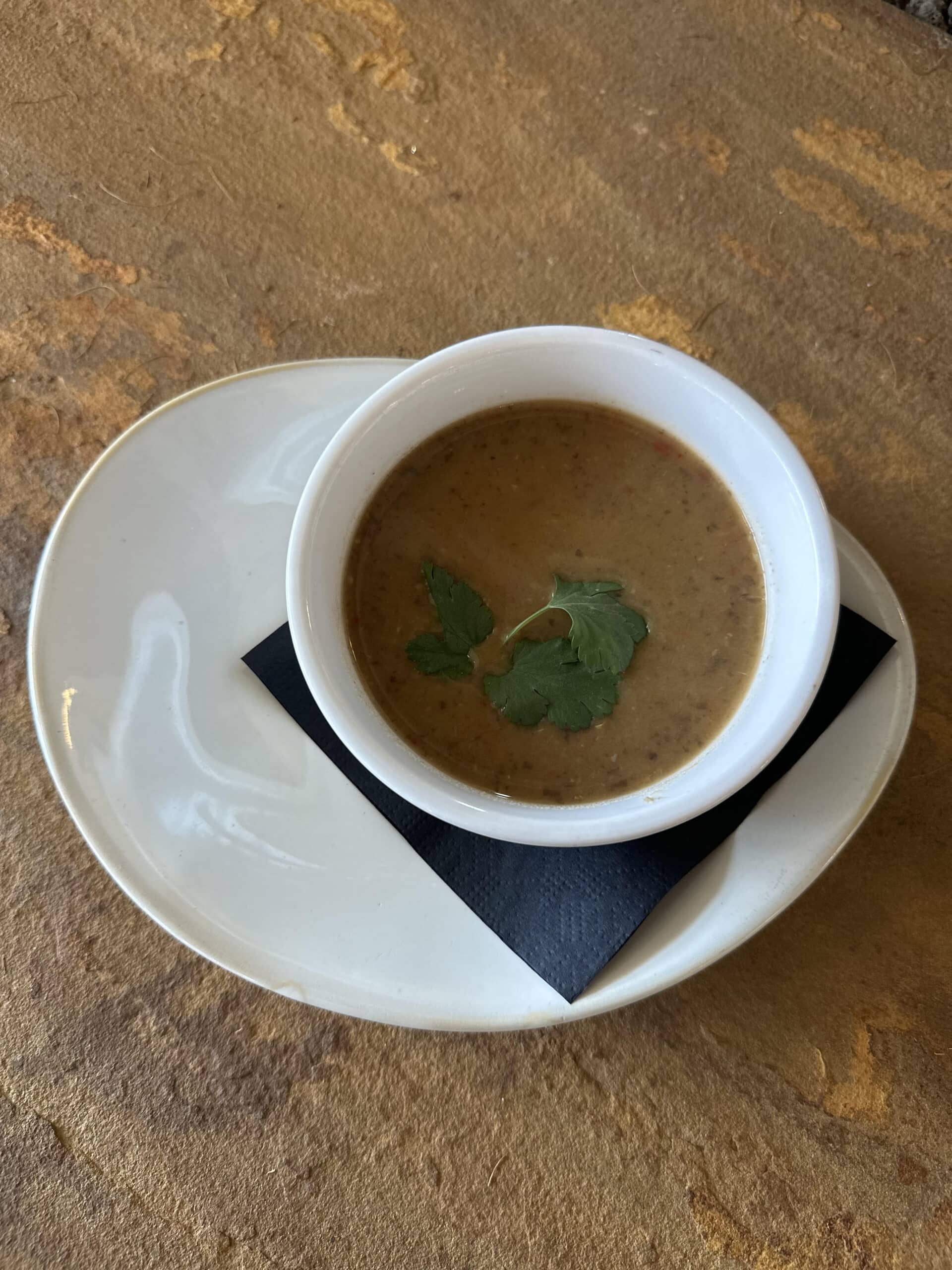 BLACK BEAN SOUP | Skyterra at Home